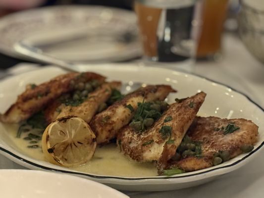 Maggiano's Little Italy by null