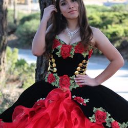 Butterfly Boutique - Elegant XVÑERA charro dress