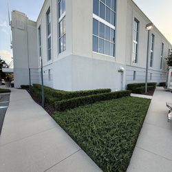 Affordable Landscape Lighting and Irrigation