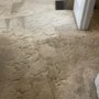 Photo of Carpet Bully