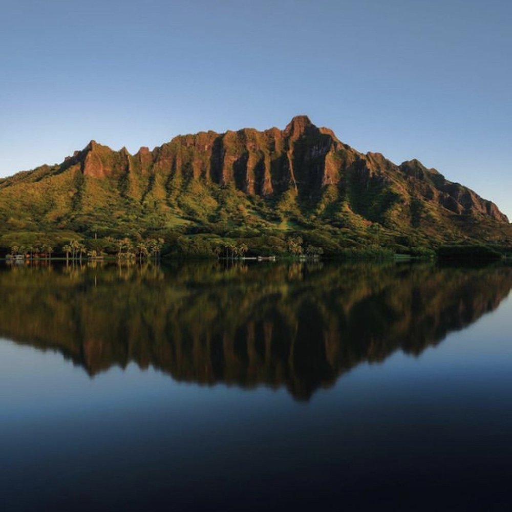 Go Tours Hawaii - Bus Tours Near Me - Honolulu, Hawaii