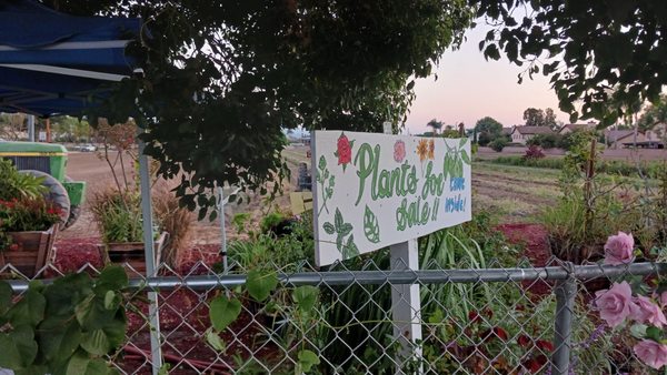 Family Farms by null