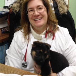 Pet Health Plus Veterinary Hospital