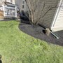 Boris Lawn Care