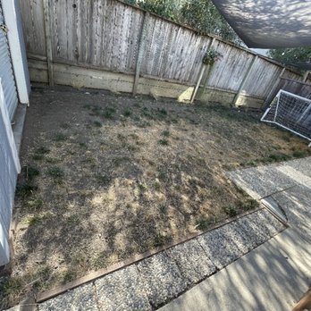 Cal Pro Artificial Turf - Artificial Turf Near Me - San Jose, California Cal Pro Artificial Turf - Artificial Turf Near Me - San Jose, California