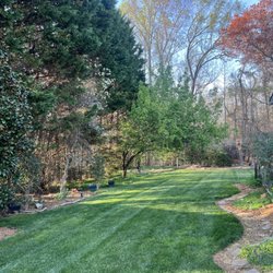 Clark's Tree Express - My yard after the work was completed !