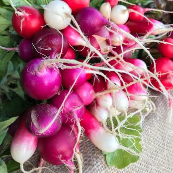 Garden Unidos - a bunch of radishes - CSA Near Me - Oceanside, California Garden Unidos - a bunch of radishes - CSA Near Me - Oceanside, California