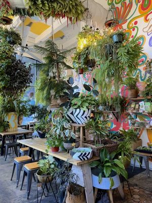 Yuko Kitchen DTLA by null