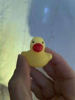 Colts Neck Stillhouse by null