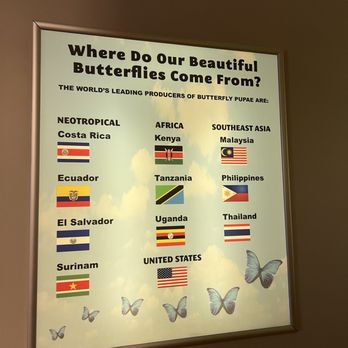 Butterfly Wonderland - Botanical Gardens Near Me - Scottsdale, Arizona