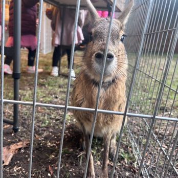 Animal Encounters - Educational Services Near Me Animal Encounters - Educational Services Near Me