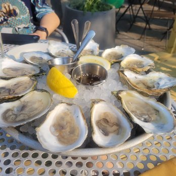 Viale - Oysters - Italian Near Me - Cambridge, Massachusetts Viale - Oysters - Italian Near Me - Cambridge, Massachusetts
