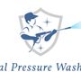 MSF Pressure Washing and Mole Control
