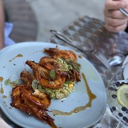 White and Wood - Moroccan Shrimp