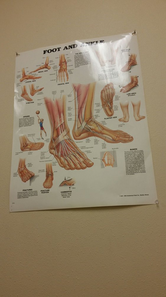 BODY BASICS PHYSICAL THERAPY Updated August 2024 21 Reviews 3178