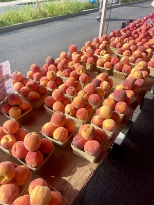 Easton Farmers' Market by null