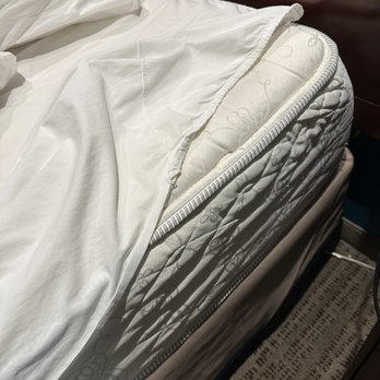 Residence Inn - No mattress cover, woke up on dirty bare mattress. - Hotels Near Me - Norfolk, Virginia