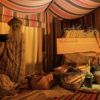 Creation Museum - Museums Near Me - Petersburg, Kentucky