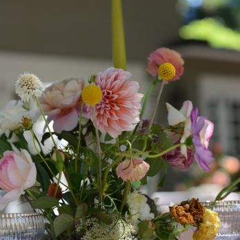 Bloomsgiving - Florists Near Me - Mountain View, California