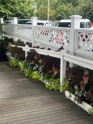 Espresso Love by null