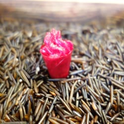 Hedone - Beet Root Cone - Beat Foam, Smoked Dill