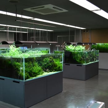 ADA アマノ NATUREAQUARIUM NATURE AQUARIUM CALENDAR 2021 | ADA