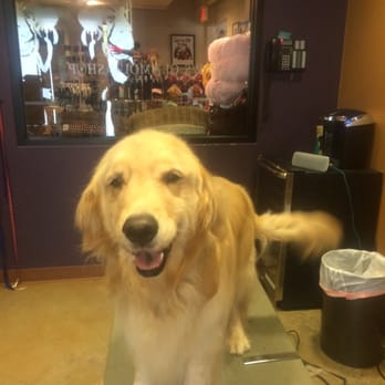 Spa Paws Hotel - That's one happy dog! - Pet Groomers Near Me - Fort Worth, Texas