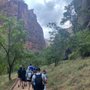 Photo of Zion Natl Park Forever Project
