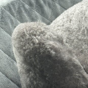 Happy Dog Spa - Parches of unshaved hair - Pet Groomers Near Me - Johns Creek, Georgia