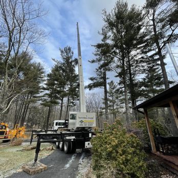 Osorio Tree Service - Setup. - Tree Services Near Me - Lagrangeville, New York