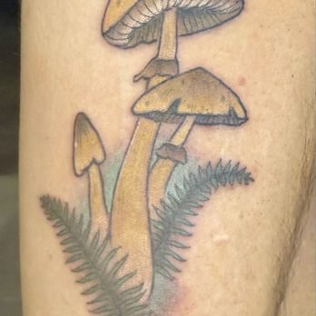 Ritual Evolution - Cubensis & Penis Envy Mushrooms - Piercing Near Me - Ashland, Oregon Ritual Evolution - Cubensis & Penis Envy Mushrooms - Piercing Near Me - Ashland, Oregon