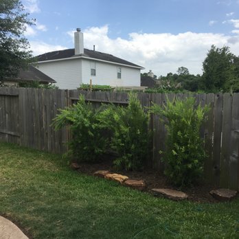 Native Texas Landscape - Landscape Architects or Designers Near Me - Spring, Texas