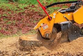 Stump Grinding - Stump Grinding EXPERTS at your Service!! As a trusted local family-owned business, we serve the Greater Lancaster County Area with top-notch stump grinding solutions. Enhance your property's safety and curb appeal by removing unsightly stumps. Enjoy free estimates and affordable rates, backed by our promise of satisfaction guarantee. Take the first step towards a stump-free yard today!