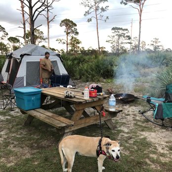 Highlands Hammock State Park - Our campsite! Not only did we forget air mattresses, we also forgot the rain fly for the tent! Hallelujah I had a brand new tarp in the car! - Parks Near Me - Sebring, Florida