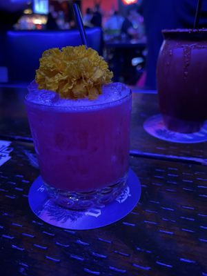 Novacane Sports Bar by null