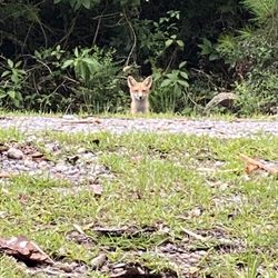 MGCCC Jackson County Recreational Walking Trail