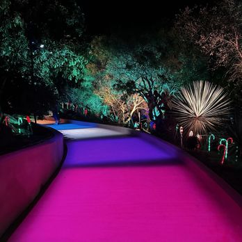Lightscape San Diego - Botanical Gardens Near Me - Encinitas, California