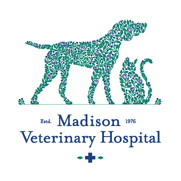 MADISON VETERINARY HOSPITAL PC 1260 Durham Rd, Madison, CT Yelp