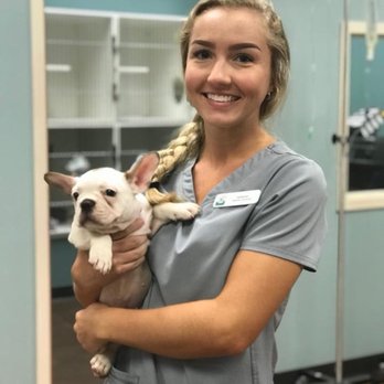Village Way Veterinary - Veterinarians Near Me - Advance, North Carolina Village Way Veterinary - Veterinarians Near Me - Advance, North Carolina