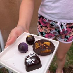 Vivac Winery - Handmade chocolates