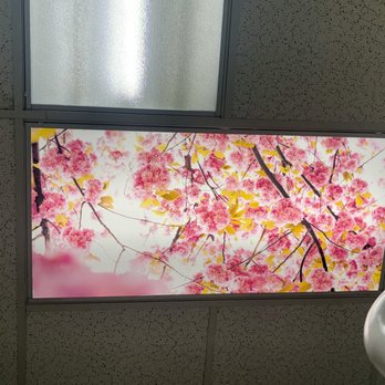 Aesthetic Dental - Love staring cherry blossoms while getting treatment. - General Dentistry Near Me - Milpitas, California Aesthetic Dental - Love staring cherry blossoms while getting treatment. - General Dentistry Near Me - Milpitas, California