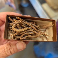 Don & June Salvatori California Pharmacy Museum - Sarsaparilla root used to be used in old concoctions.