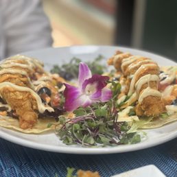 Maine Street Lobster Tacos