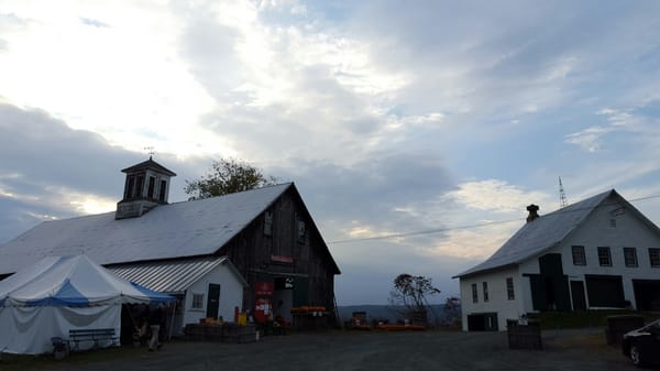 Poverty Lane Orchards by null