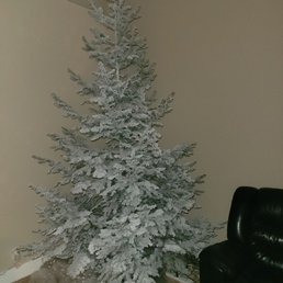 Our beautiful Christmas tree was delivered tonight look how amazing it looks.. Can't wait to decorate.. Our beautiful Christmas tree was delivered tonight look how amazing it looks.. Can't wait to decorate..