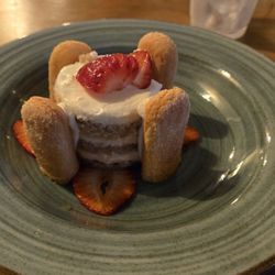 Sea Olive - Strawberry Tiramisu