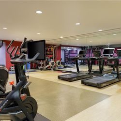 Hilton London Syon Park - Health club  fitness center  gym