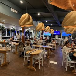 Coconuts Fish Cafe - Indoor dining