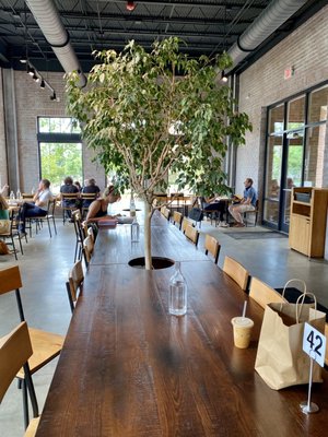 FOX IN THE SNOW CAFE - 301 Photos & 204 Reviews - 160 W Main St, New