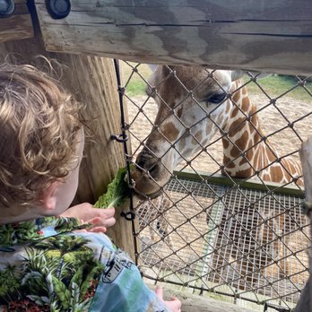 Caldwell Zoo - Zoos Near Me - Tyler, Texas Caldwell Zoo - Zoos Near Me - Tyler, Texas